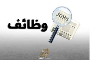 Graphic Designer
